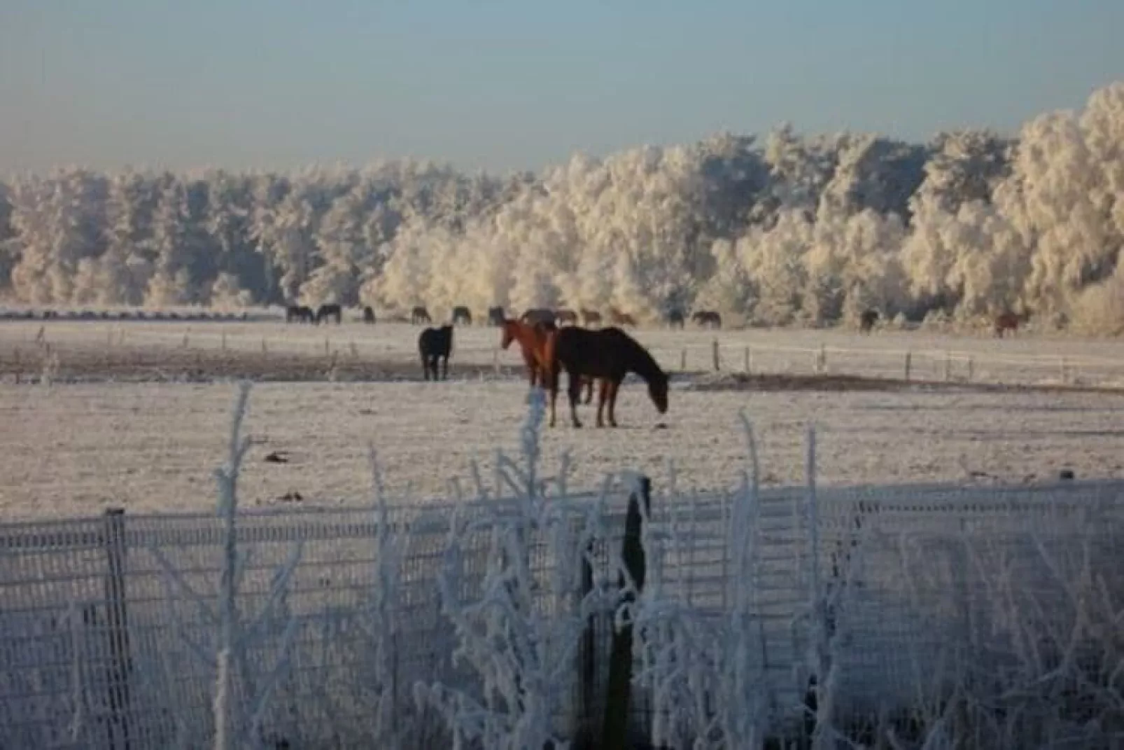 Dorpswoning De Plek-View winter