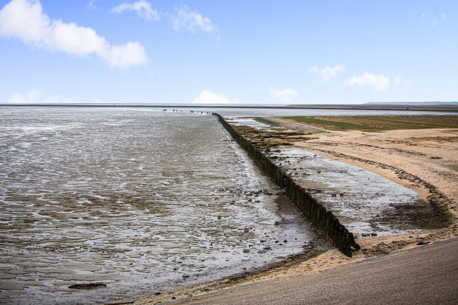 Wadden Festijn-Areas summer 20km