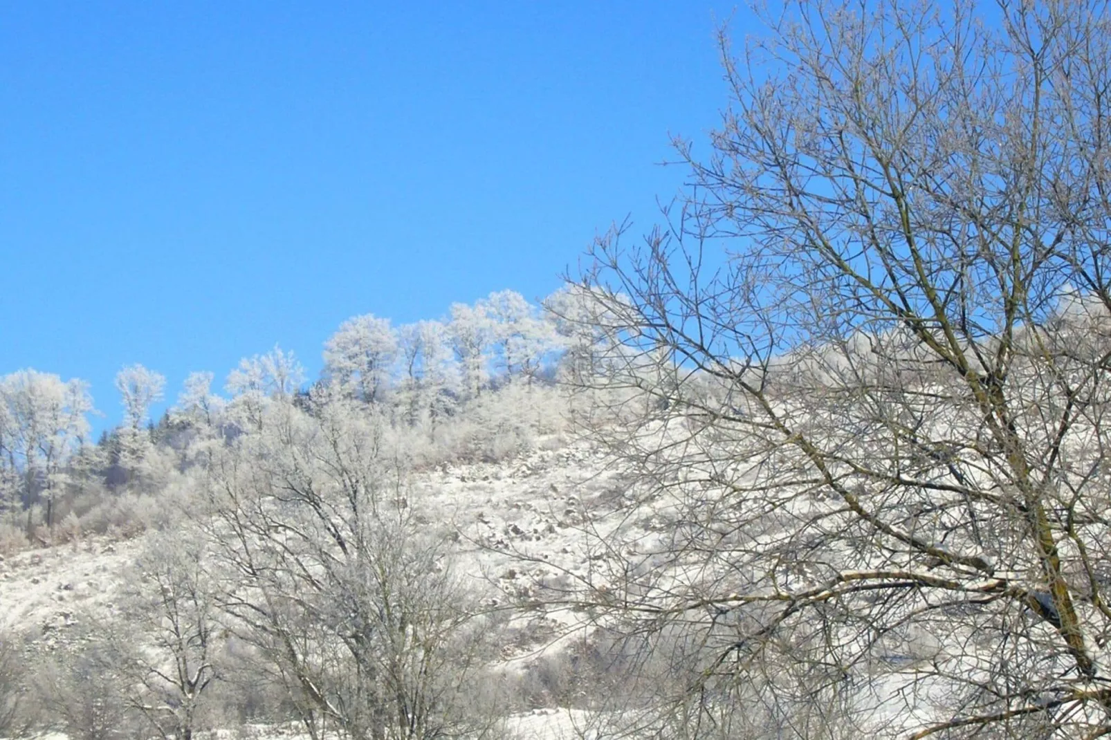 Hunau II-Area winter 20km
