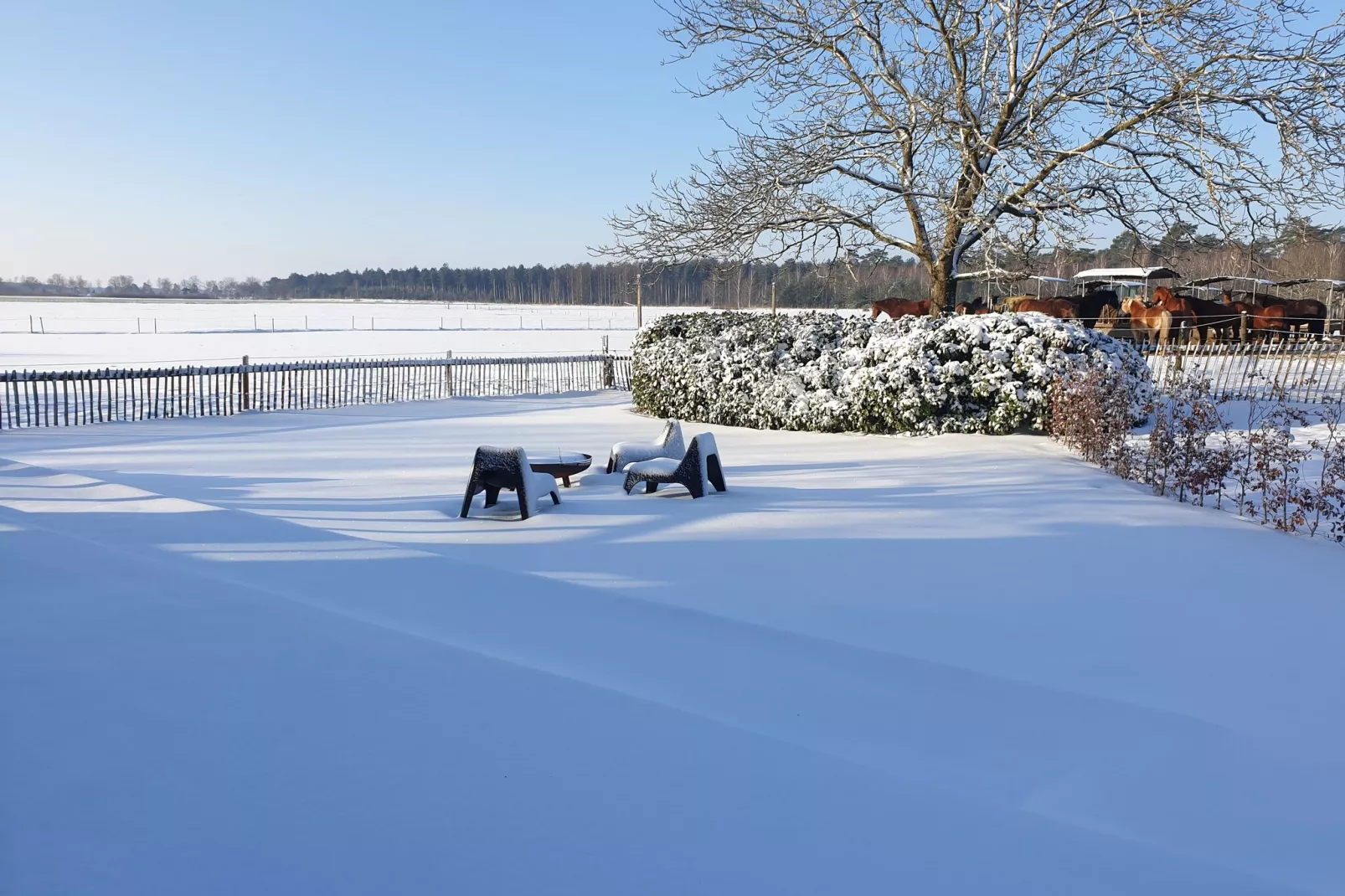 Dorpswoning De Plek-View winter