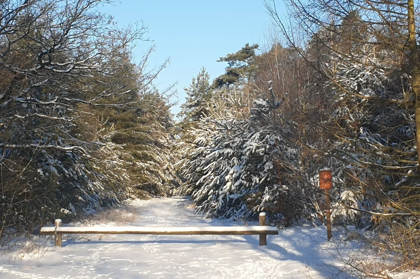 Dorpswoning De Plek-View winter