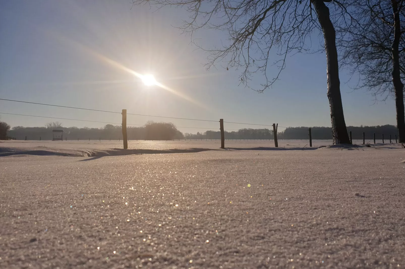 Dorpswoning De Plek-View winter