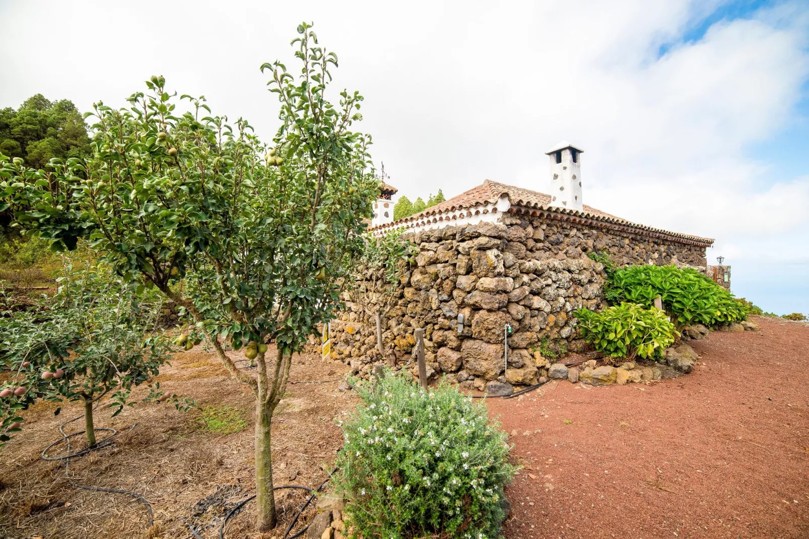 Don Julian-Areas summer 1km