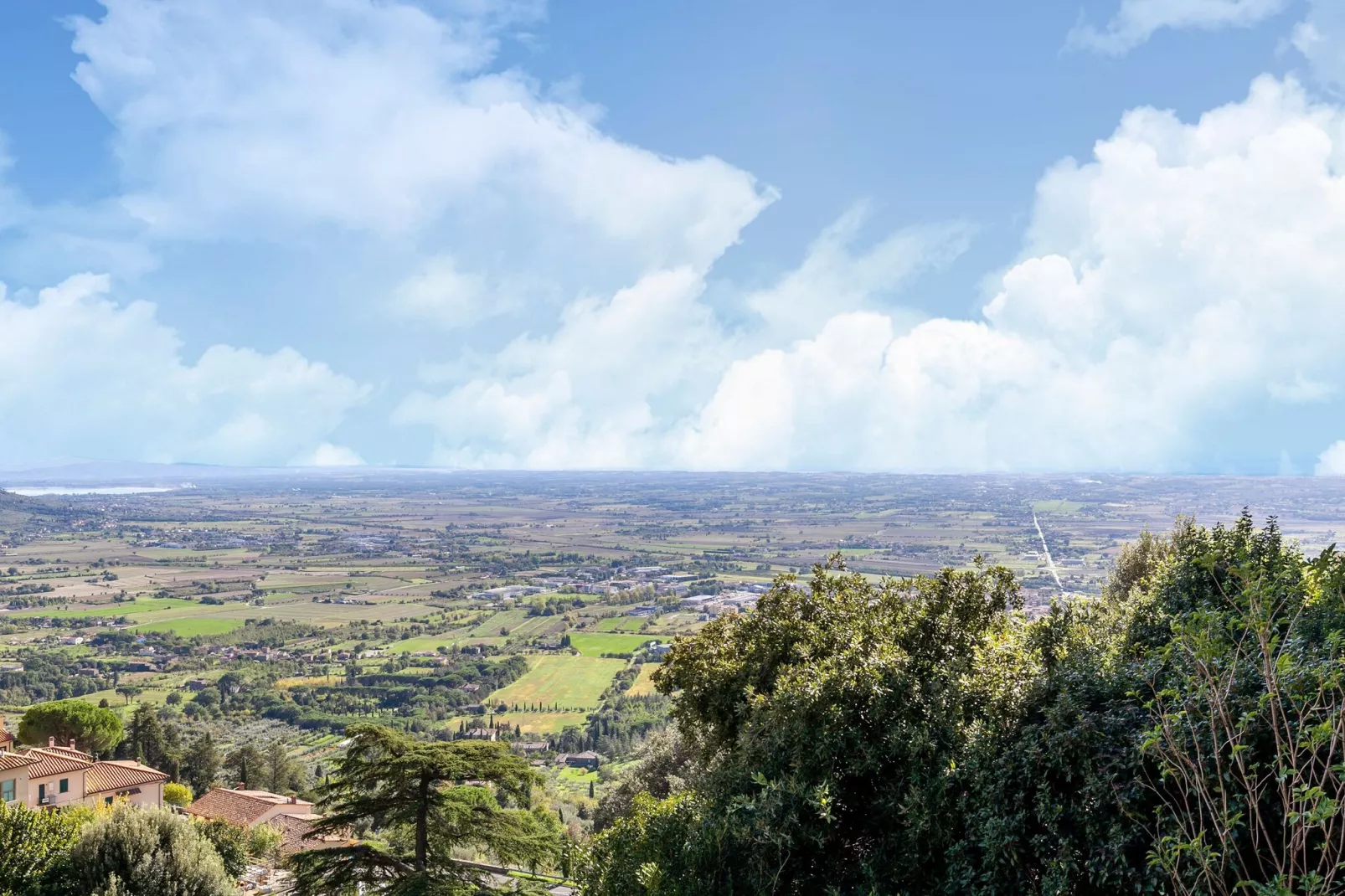 Mimosa-Areas summer 1km
