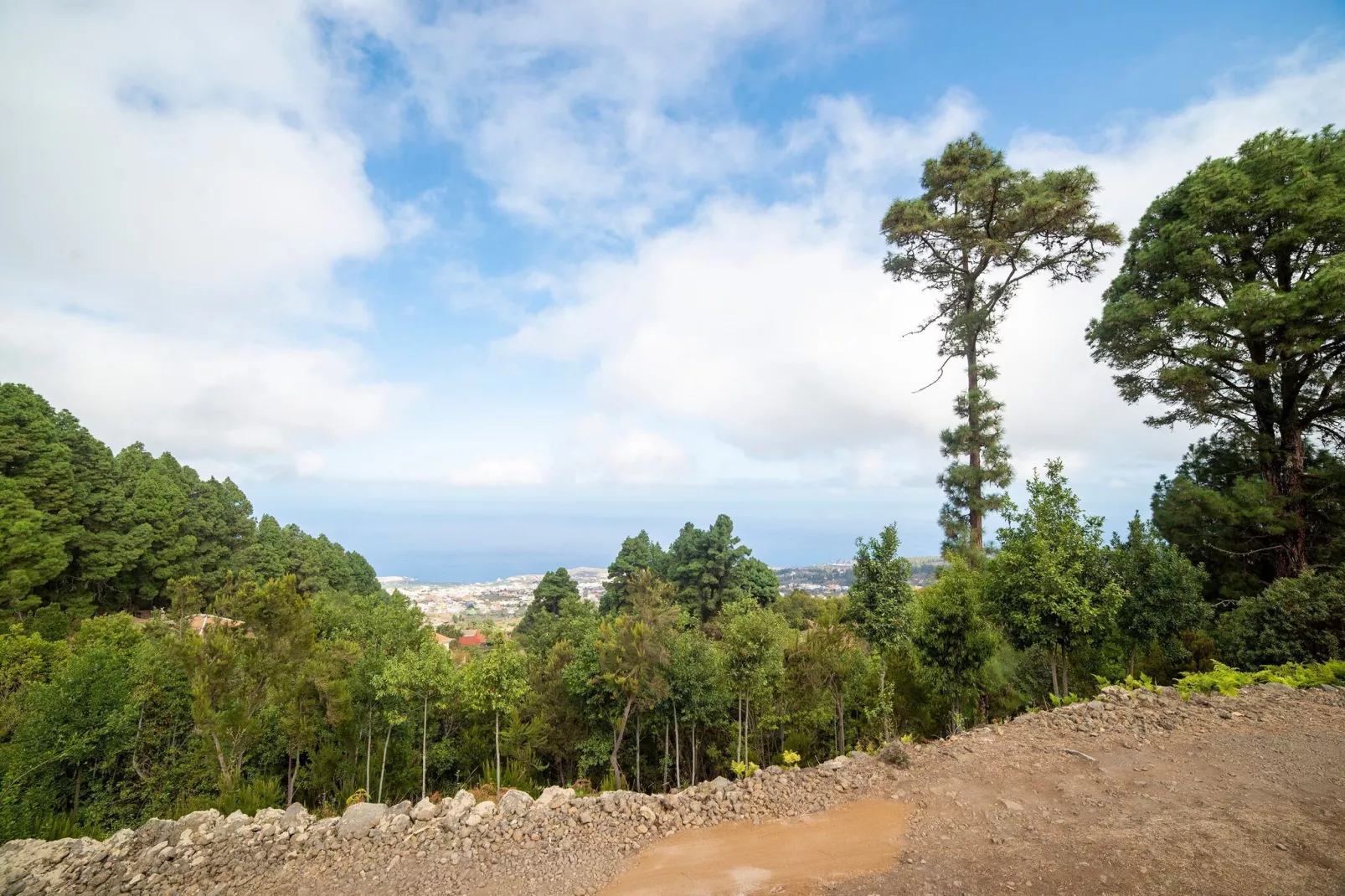 Don Julian-Areas summer 1km