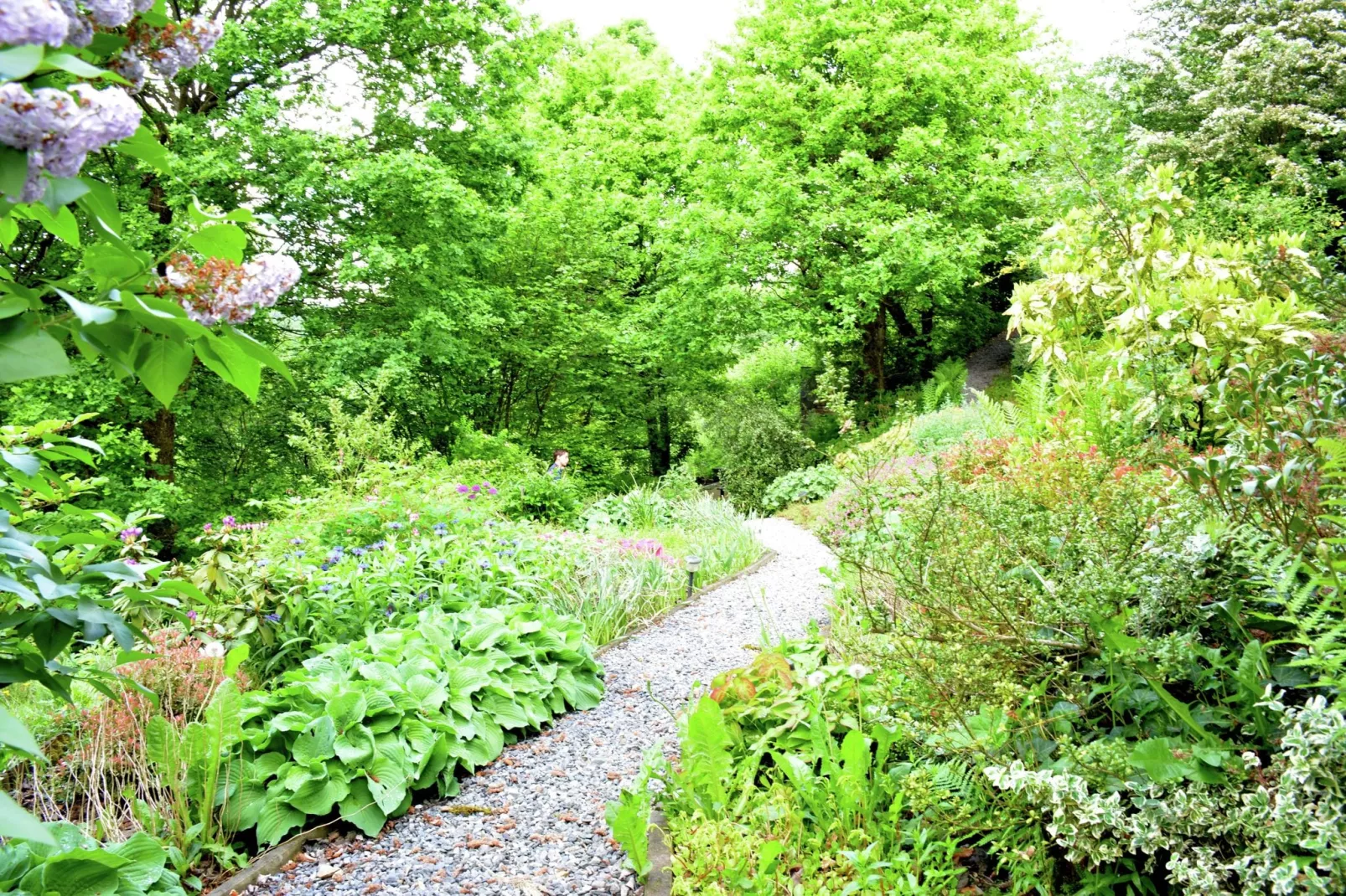 Yameta Down-Gardens summer