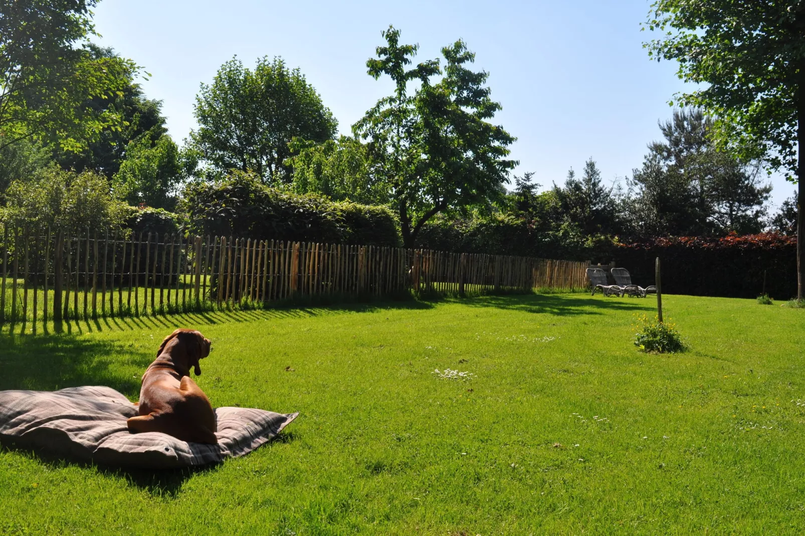 Dorpswoning Op Niveau-Gardens summer