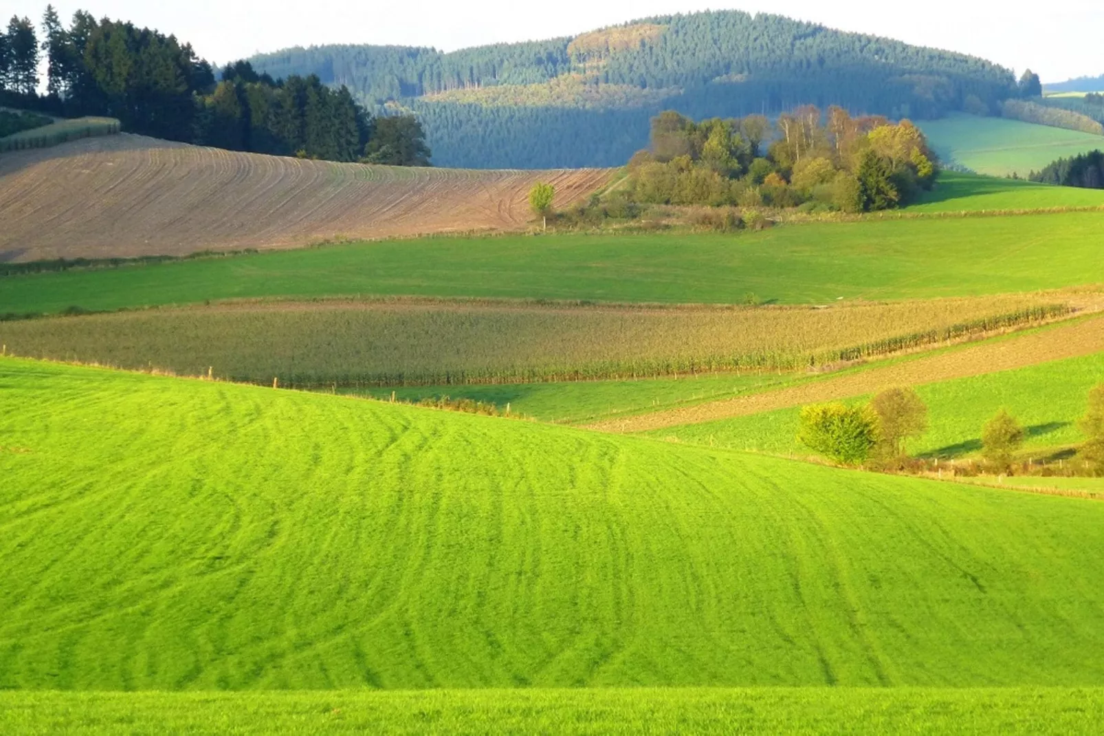Wilzenberg I-Gebiete Sommer 5 km