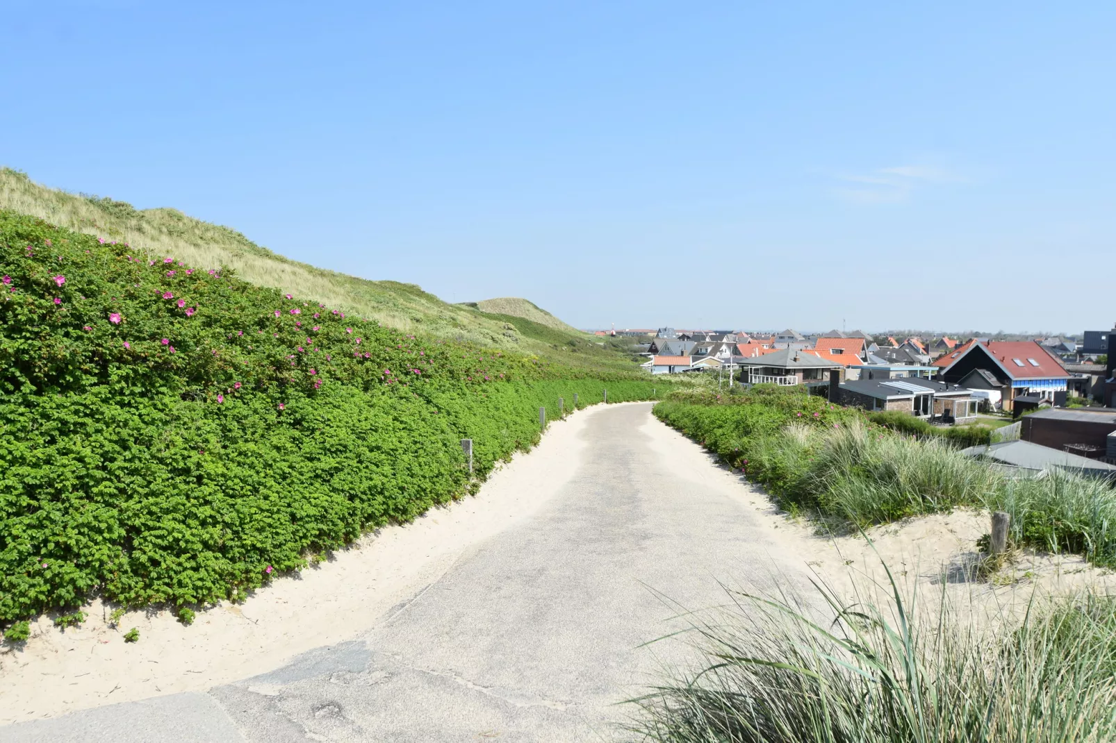 Hazenborgh - Duinhuis 1-Gebiete Sommer 5 km