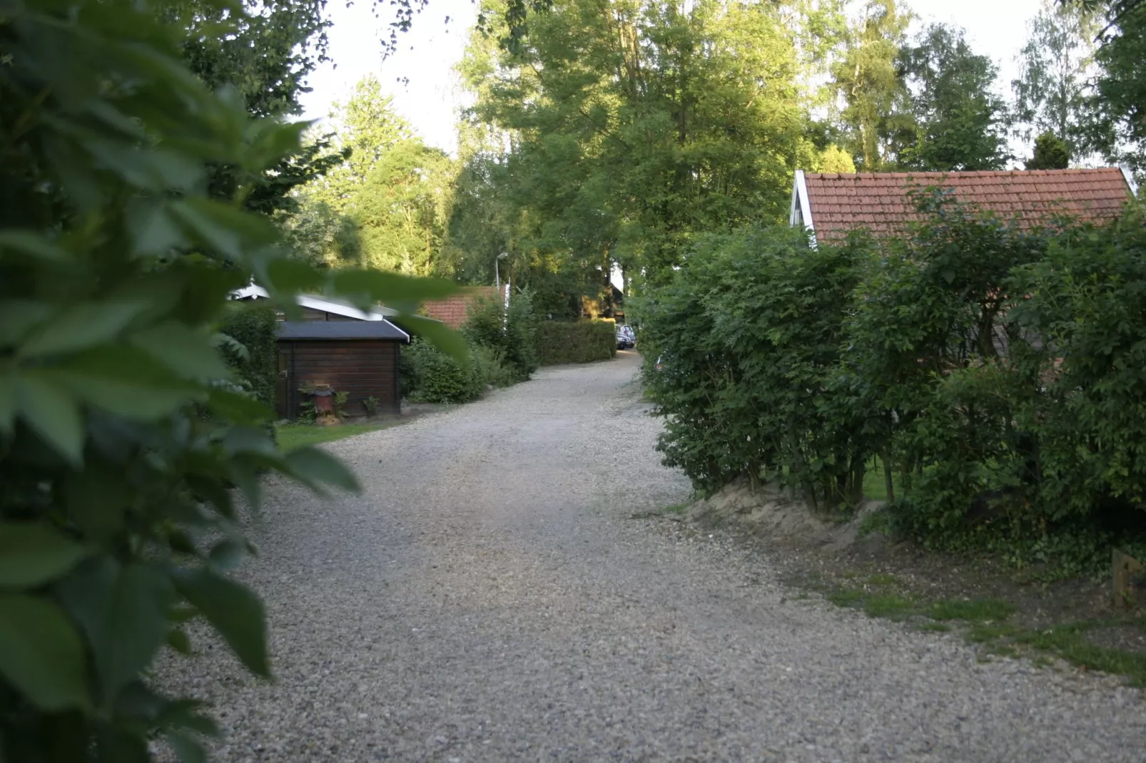 Chaletpark Kuiperberg 4-Areas summer 1km