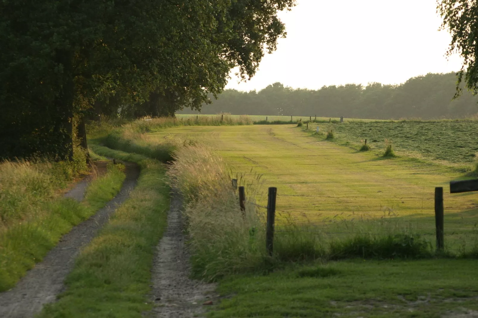 Chaletpark Kuiperberg 4-Areas summer 5km