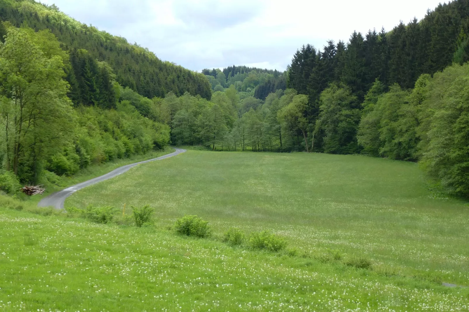 Wilzenberg II-Areas summer 1km