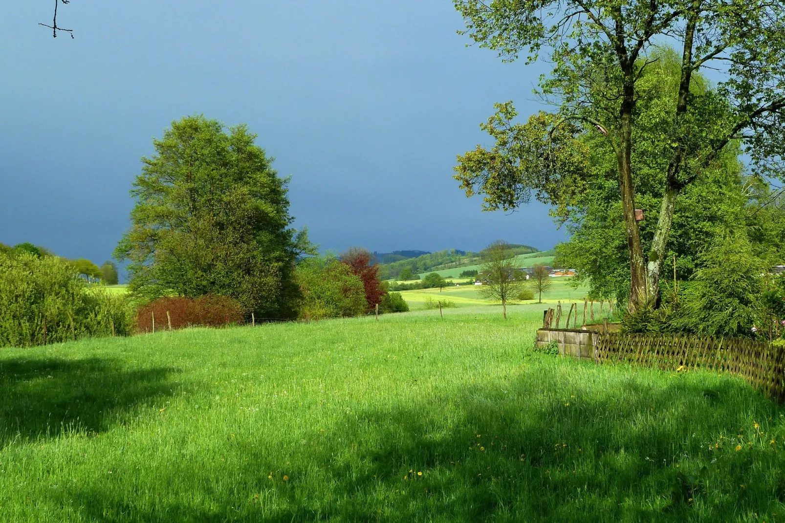 Wilzenberg II-Areas summer 20km