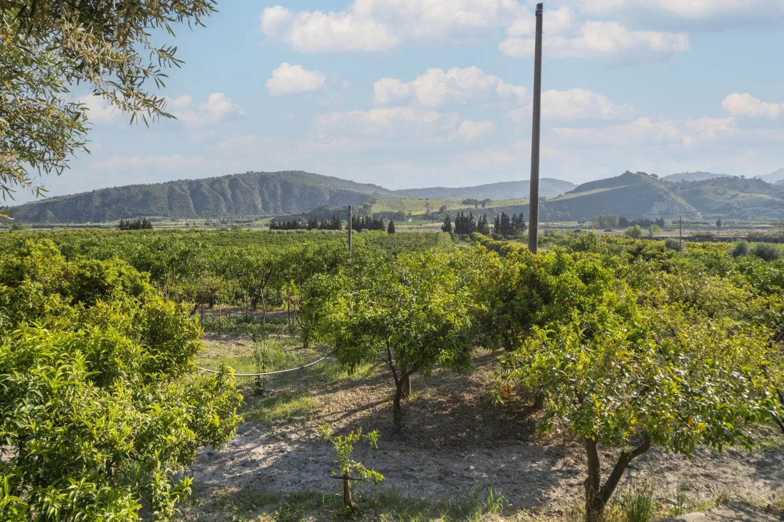 Casa Donna Luisa-Areas summer 5km