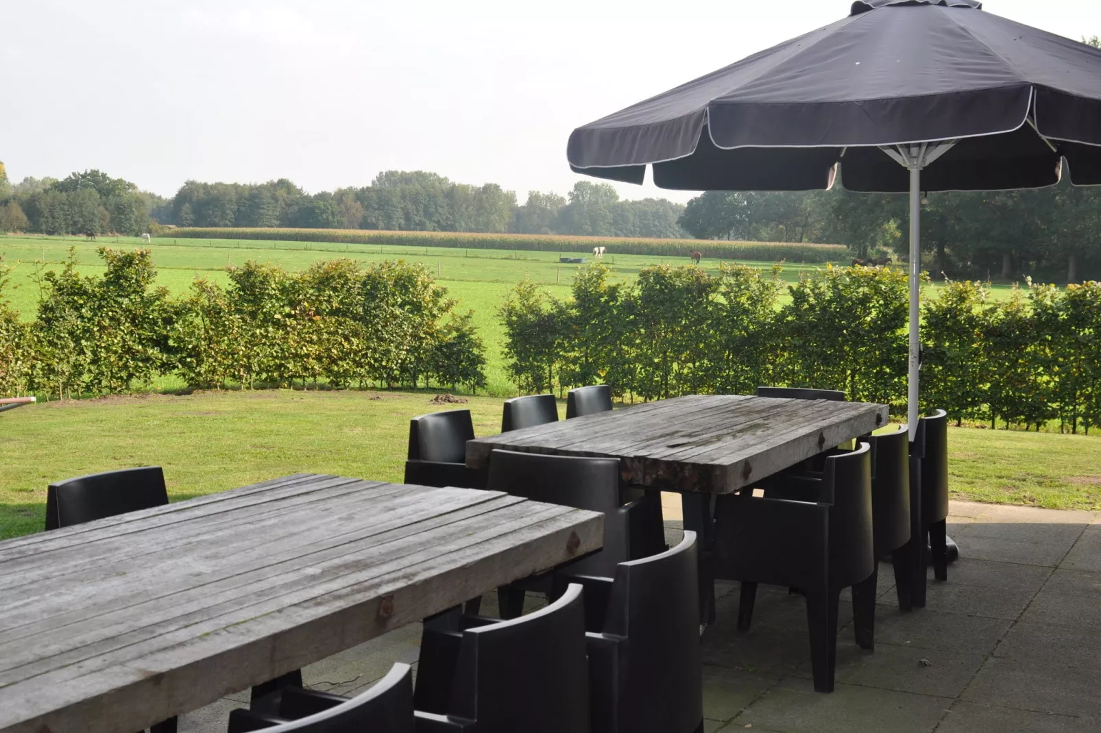 Dorpswoning Het Uitzicht-Gardens summer