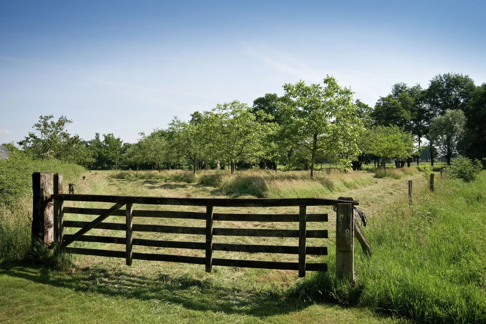 Erve Woolderink-Areas summer 1km