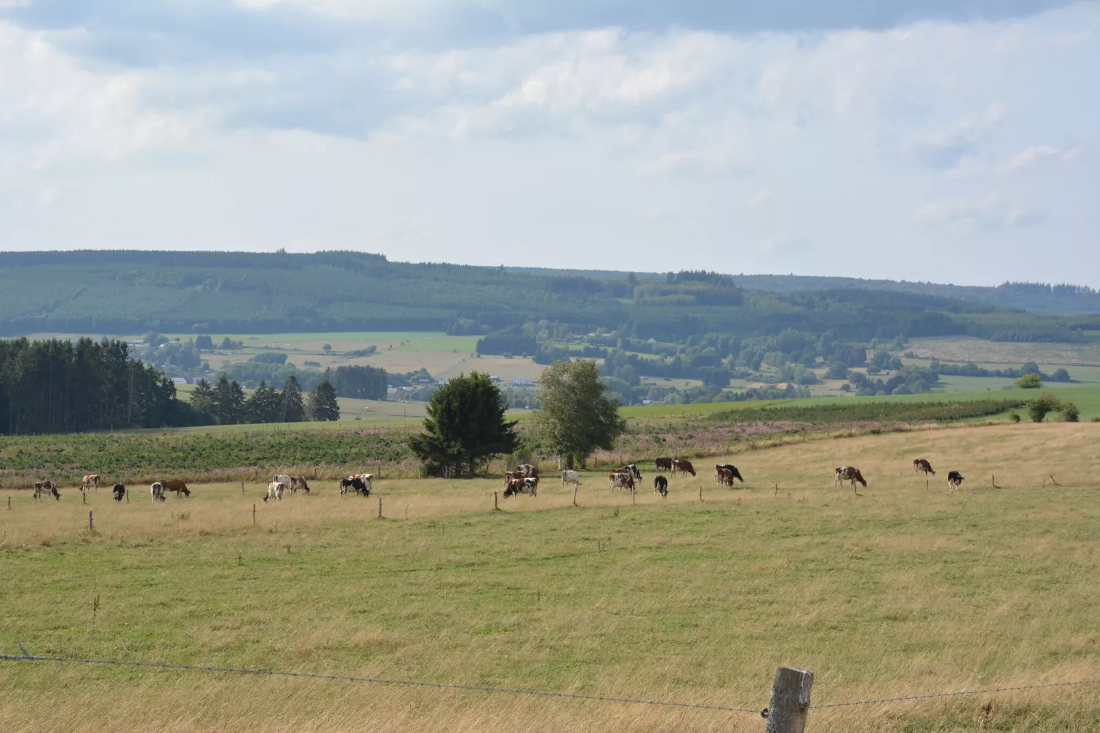 Le Barrage-Areas summer 20km