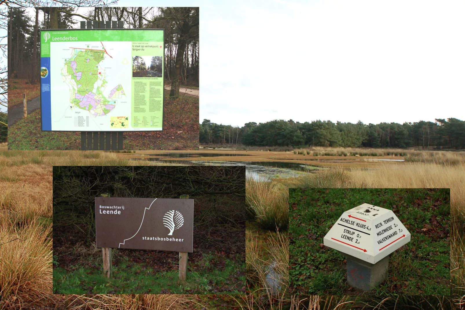 Dorpswoning Het Knusse-Areas summer 1km