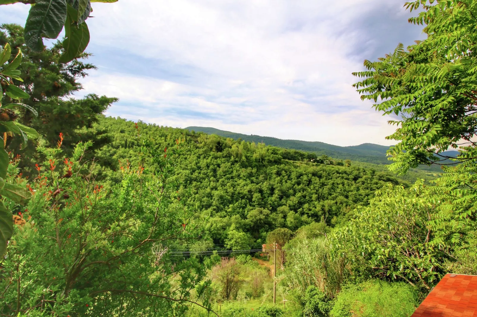 Mulino-Areas summer 1km