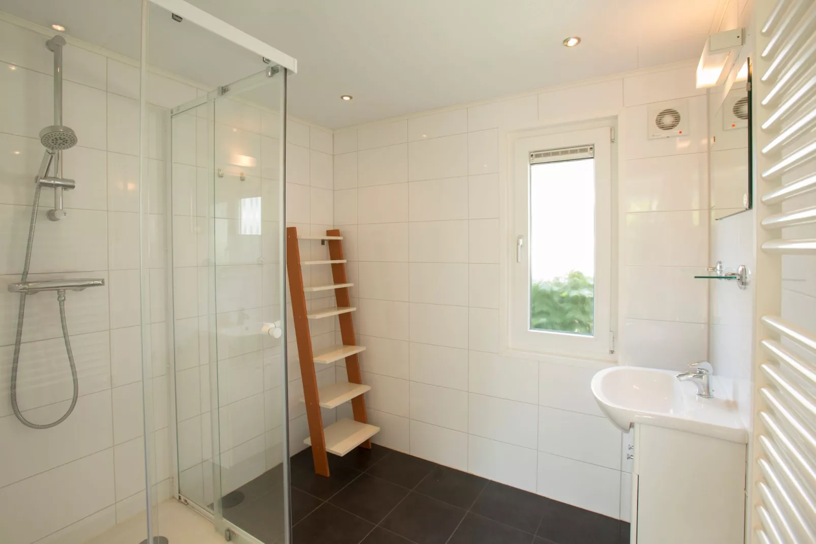 Recreatiepark Tolplas 2-Bathroom
