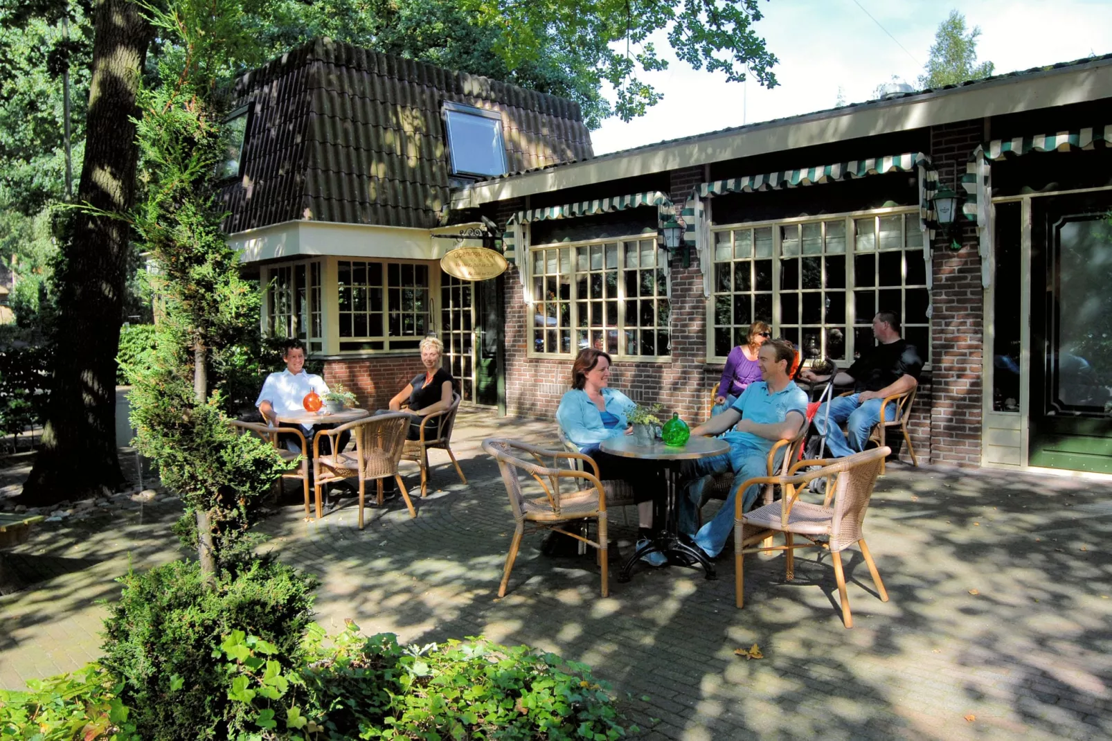 Recreatiepark Tolplas 2-Terrace balcony