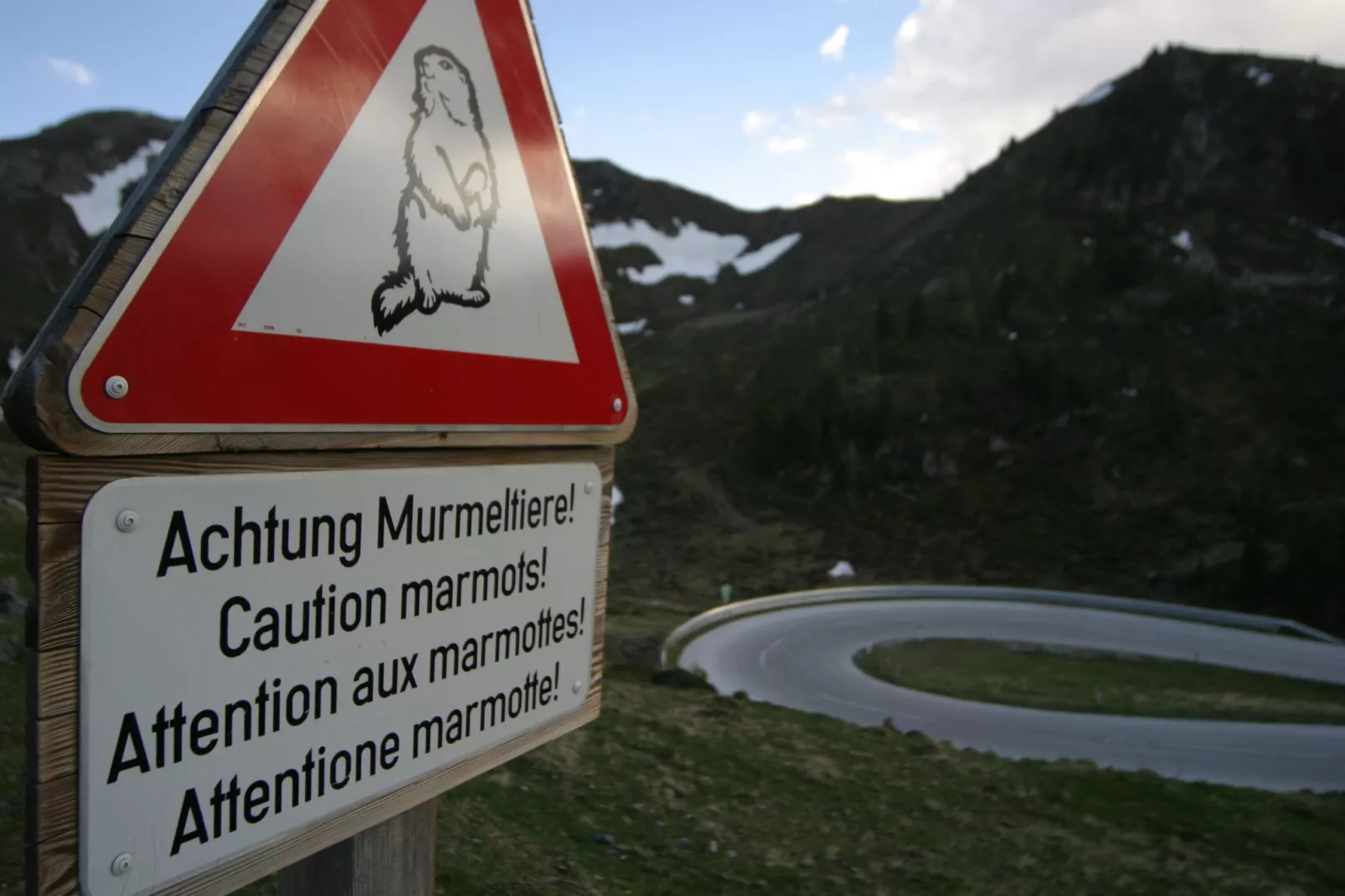 Haus Hochrindl-Areas summer 20km