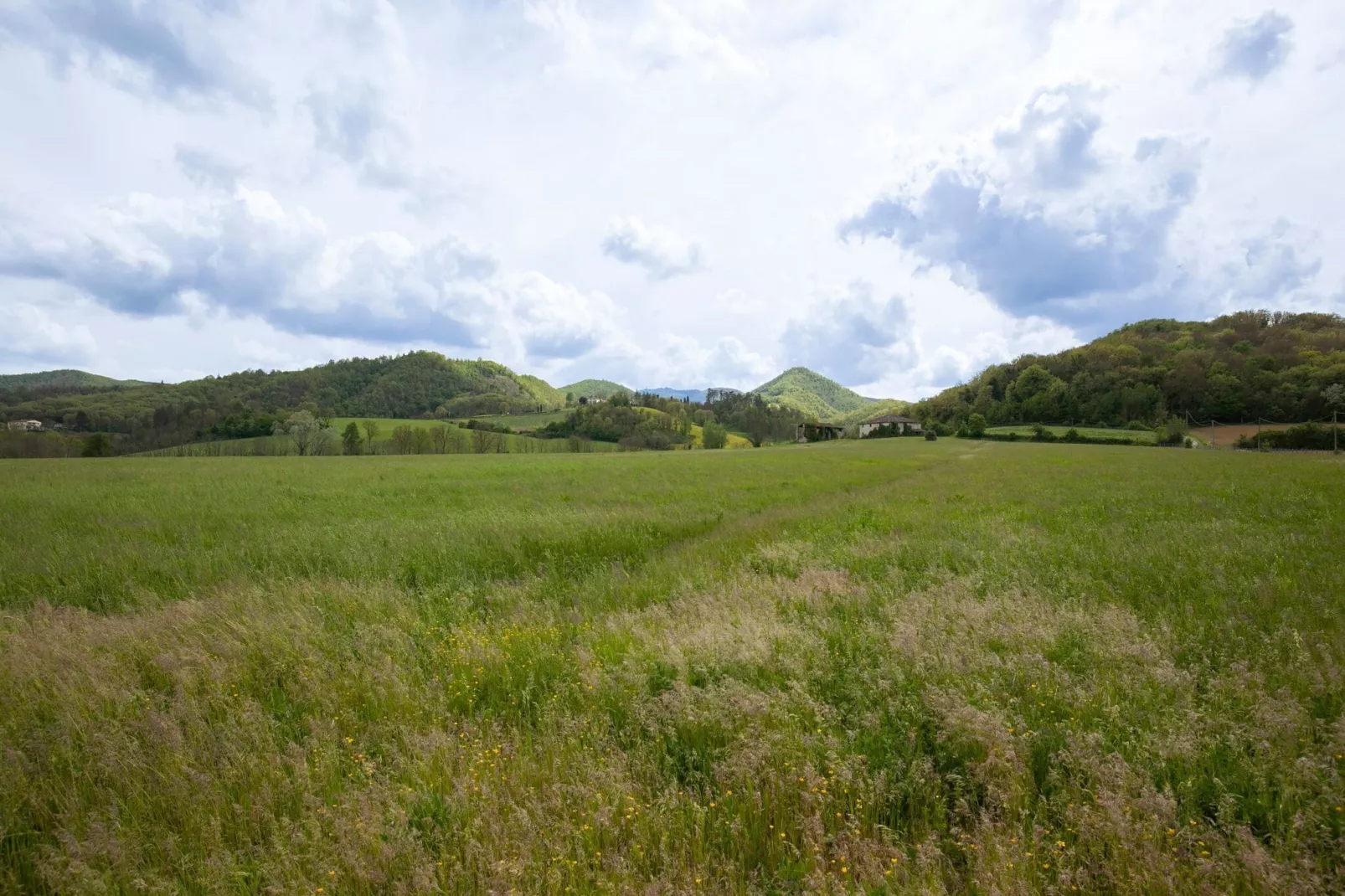 CASA OLMI-Areas summer 1km