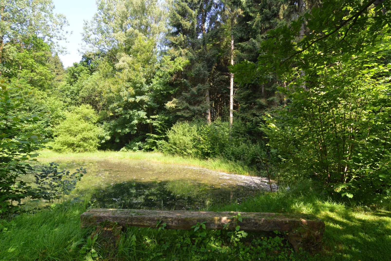 Le Martin Pêcheur-Garten Sommer