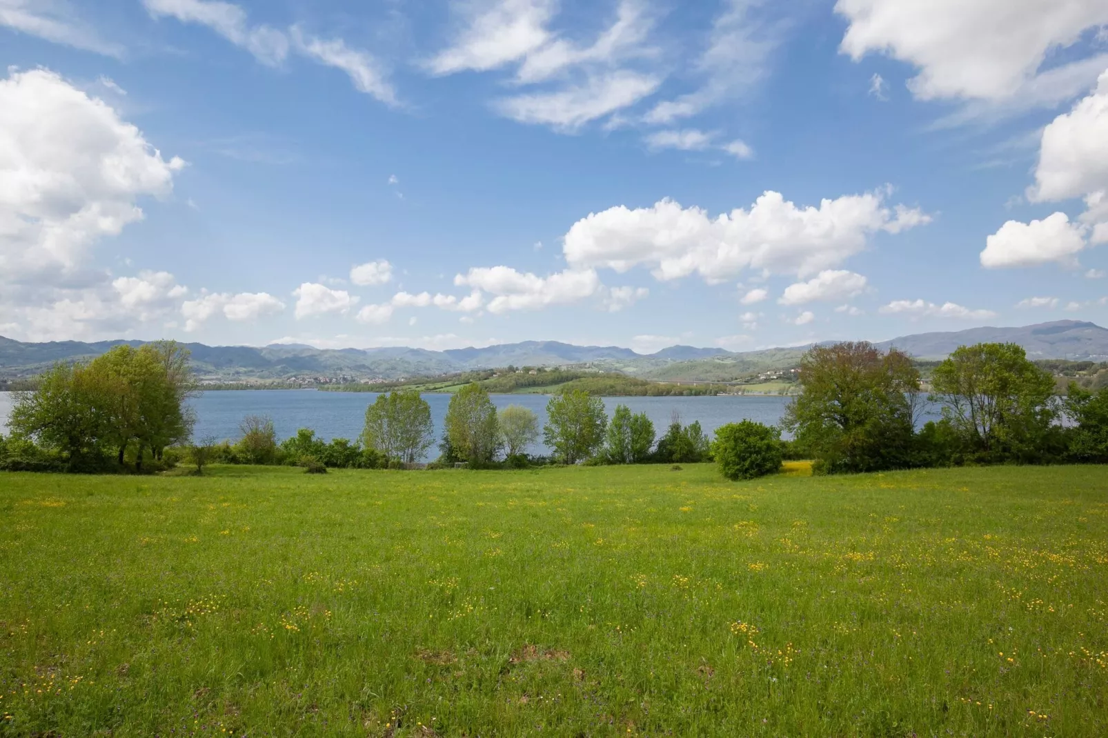 CASA OLMI-Areas summer 5km