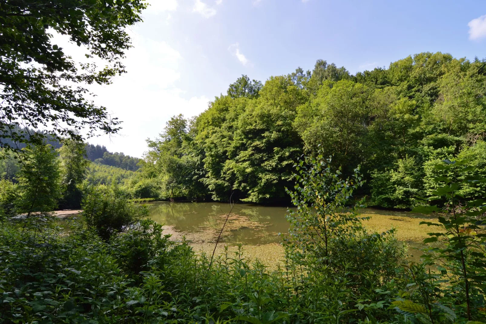 Le Martin Pêcheur-Gebiete Sommer 1 km