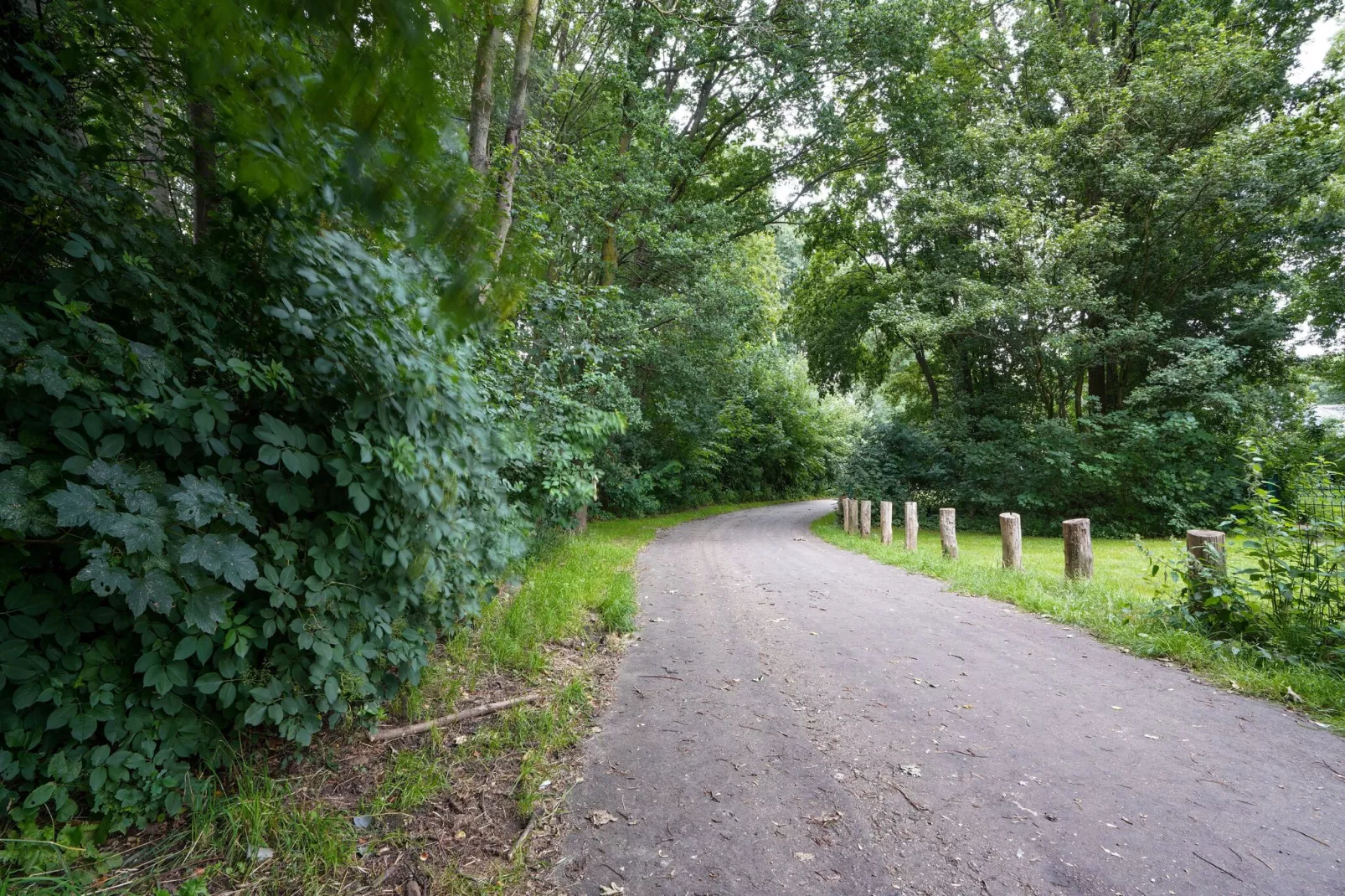 Vakantiewoning De Linge-Areas summer 1km