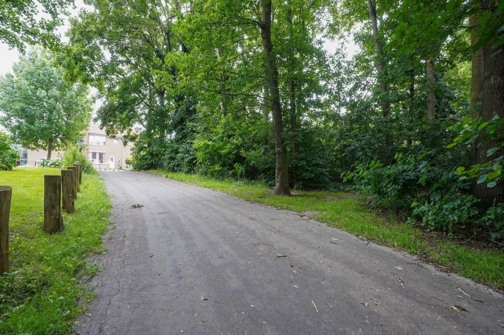Vakantiewoning De Linge-Areas summer 1km