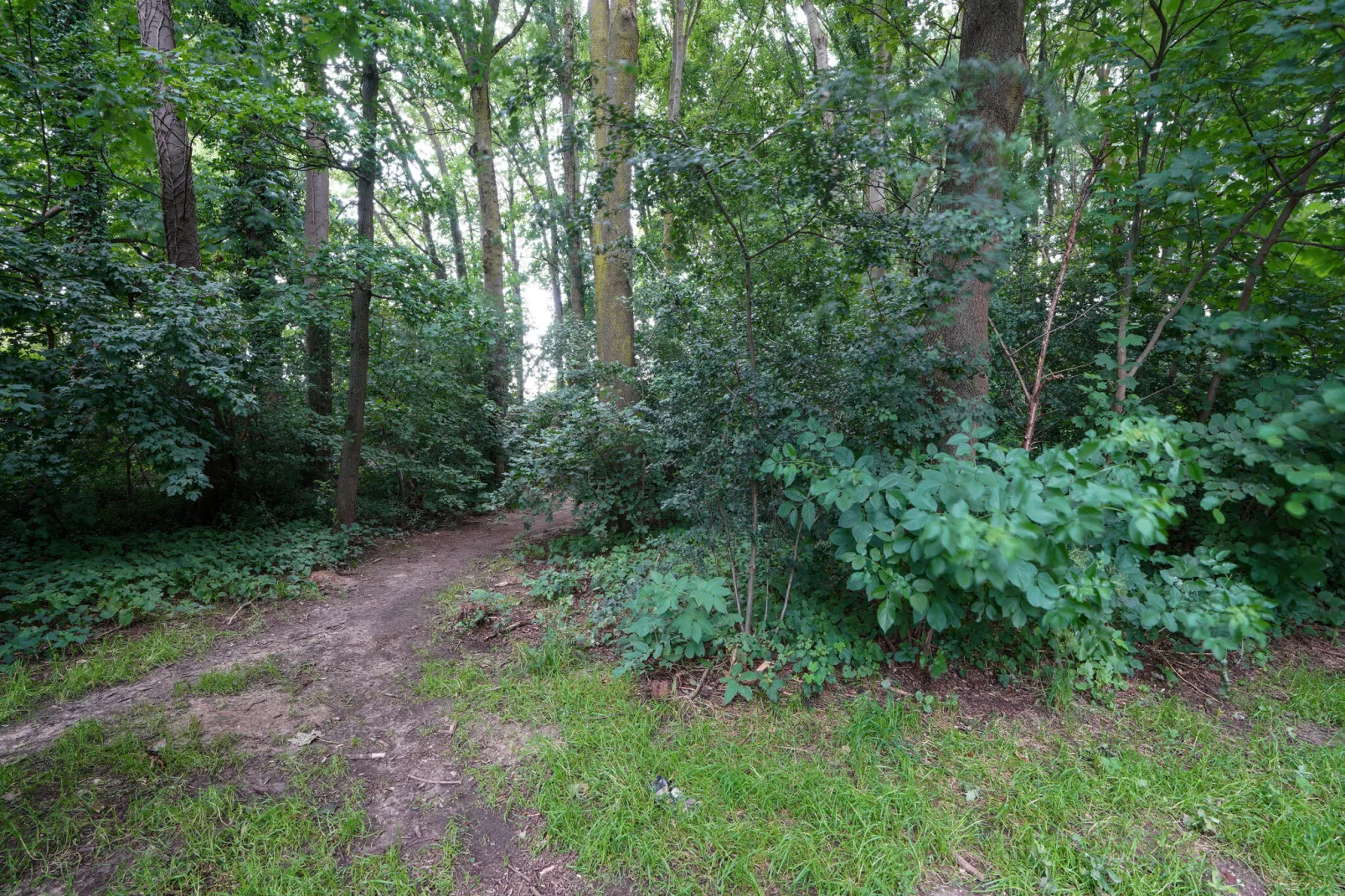 Vakantiewoning De Linge-Areas summer 1km