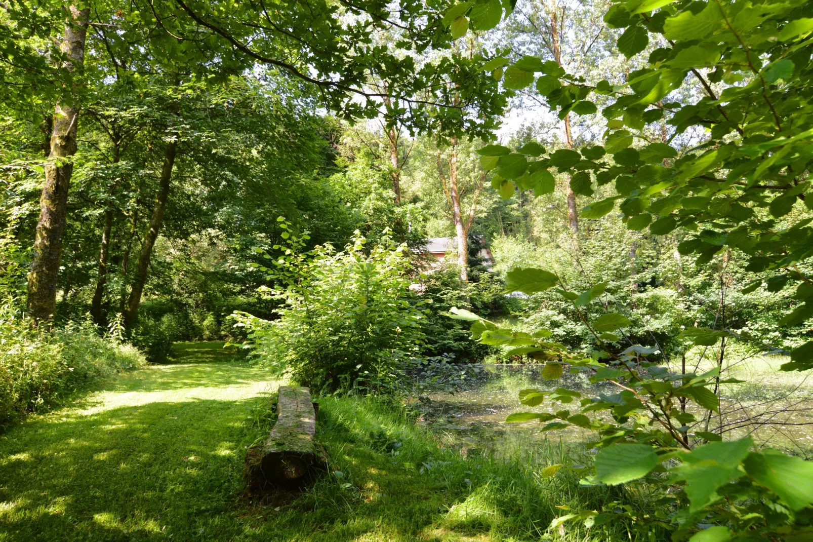 La Buresse-Areas summer 1km
