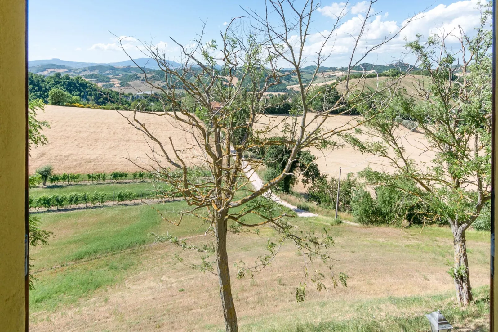 Sant'Angiolino-View summer