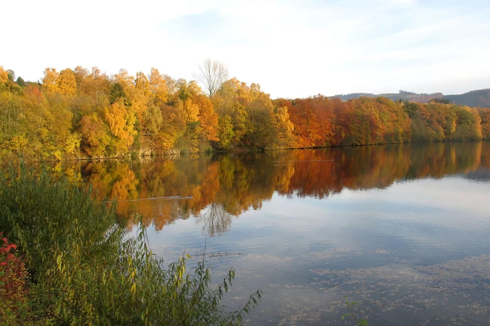 Ober der Hasselt-Areas summer 1km