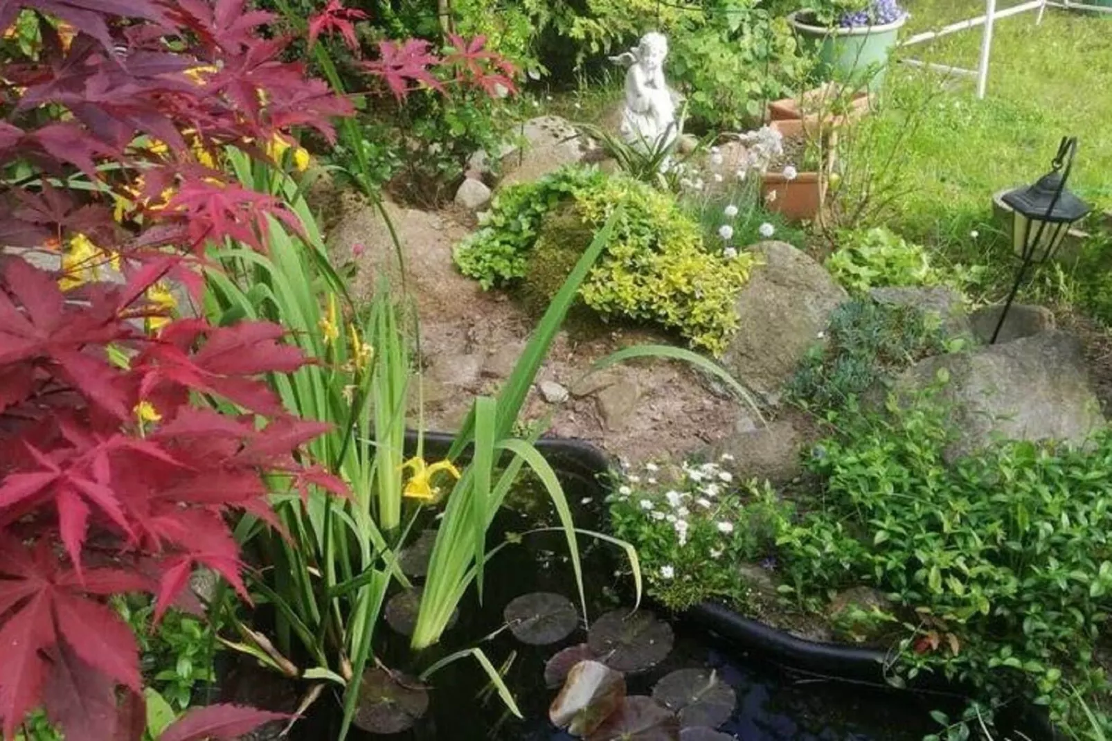 House in the kashubian village-Gardens summer