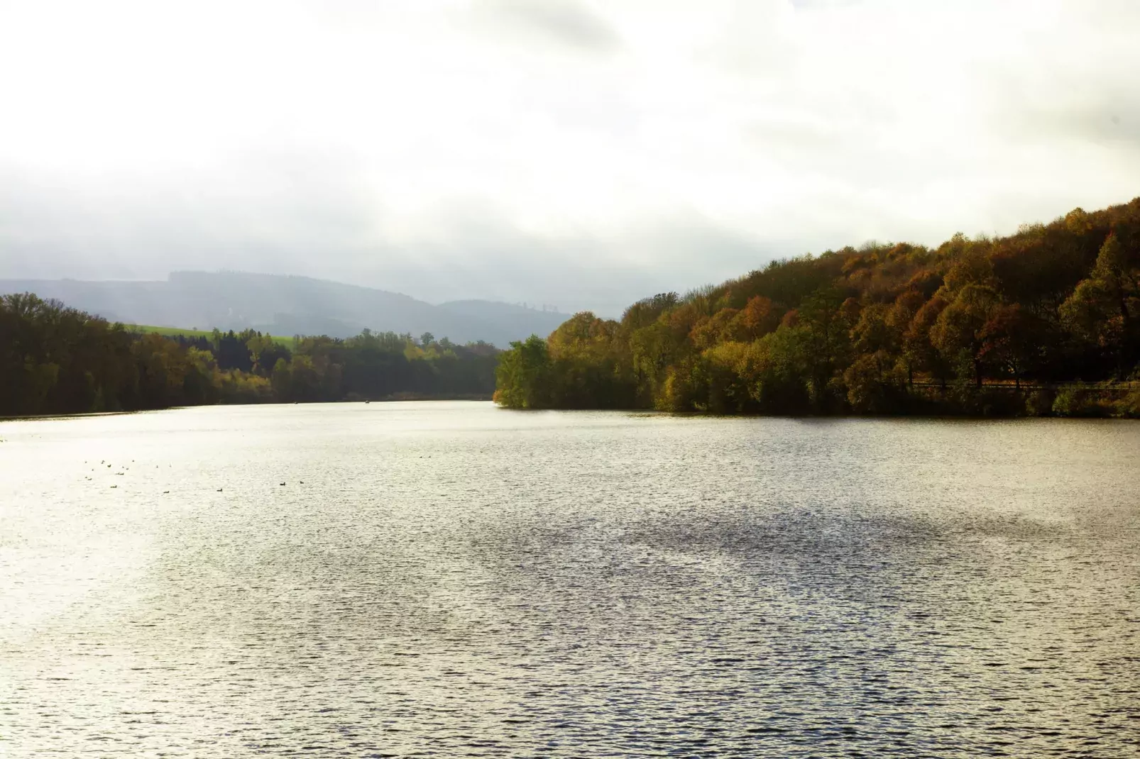 Ferienhaus am Hennesee mit Terrasse-Areas summer 5km
