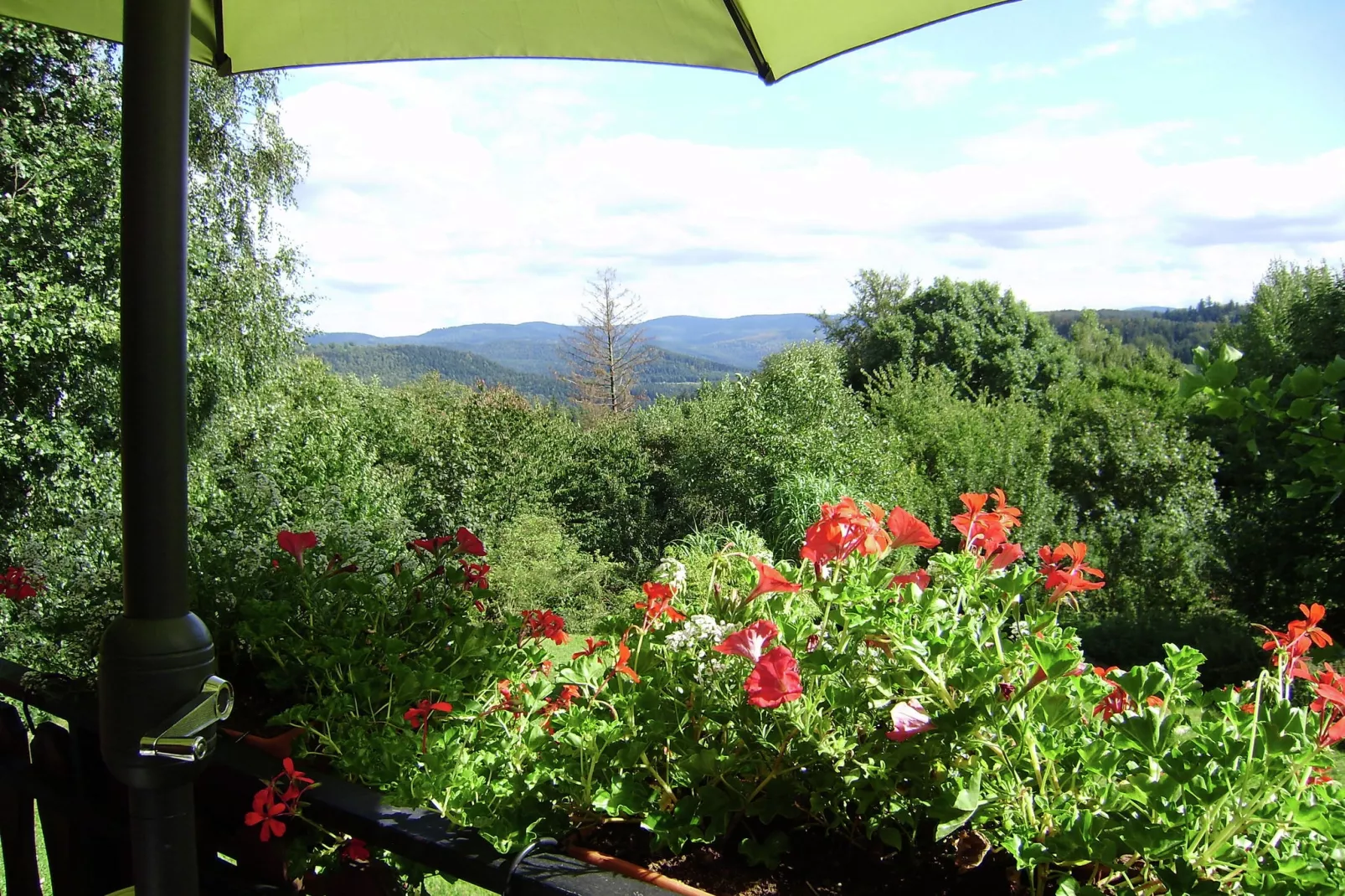 Chalet - HOMMERT-View summer