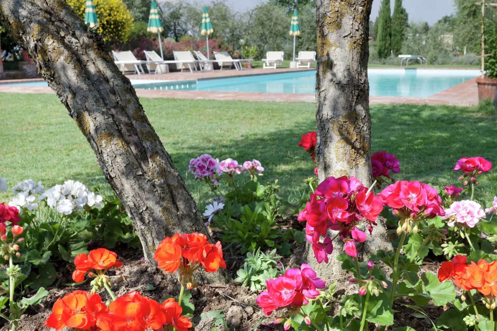 Portico del Tasso-Gardens summer