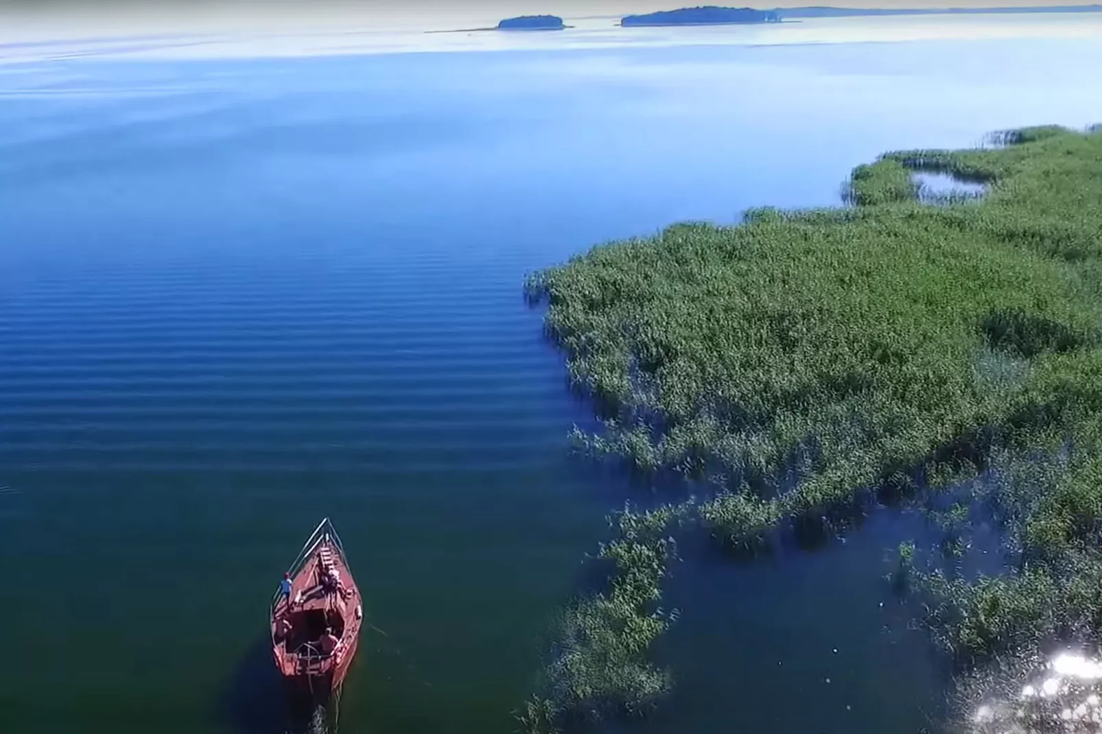 Masurian habitat-Areas summer 5km