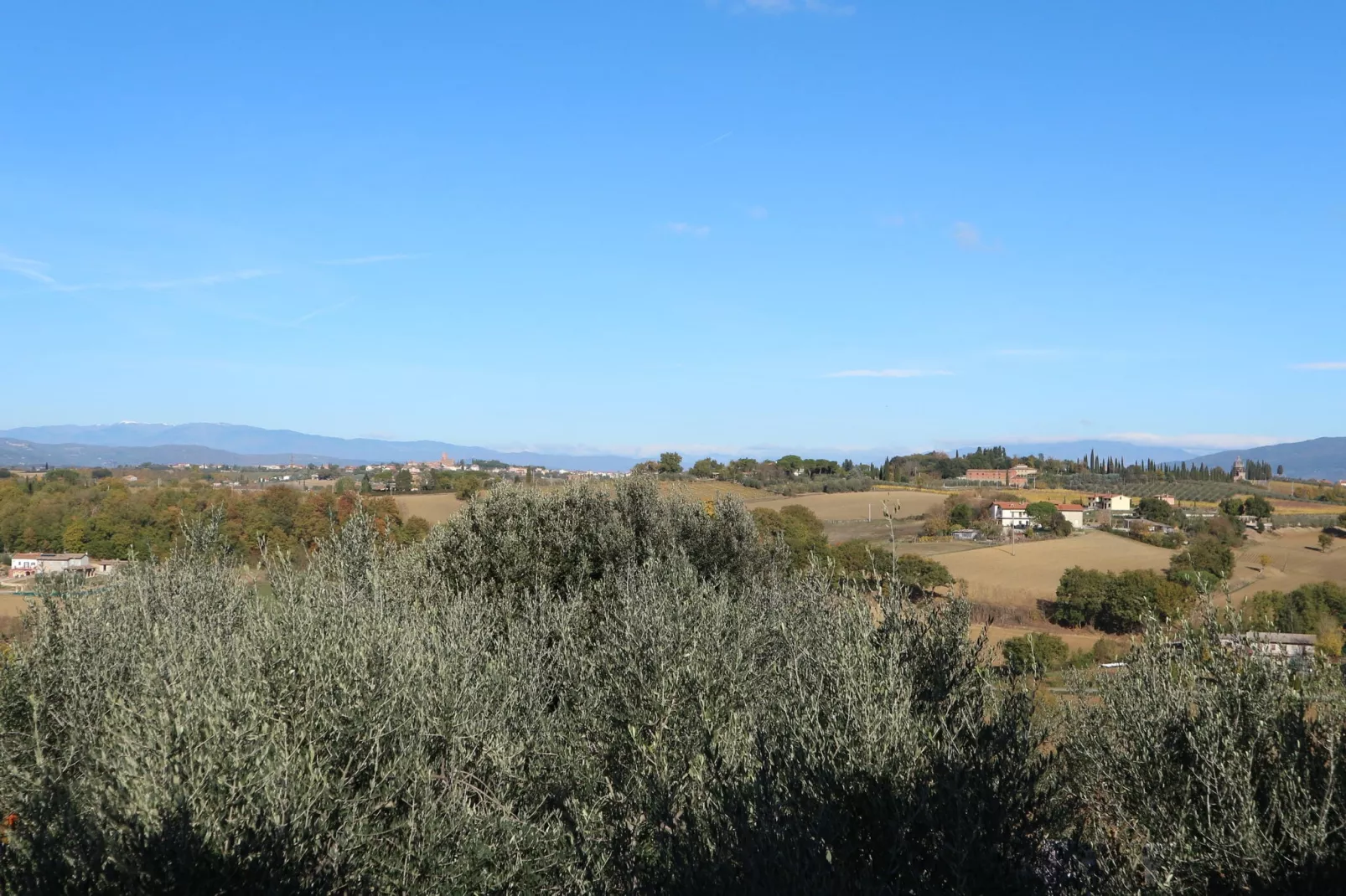 Portico del Tasso-View summer