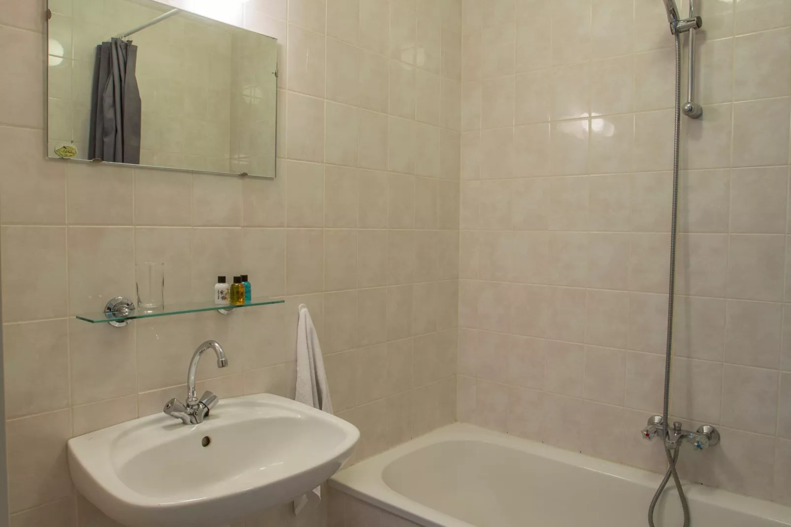 Recreatiepark Tolplas 8-Bathroom