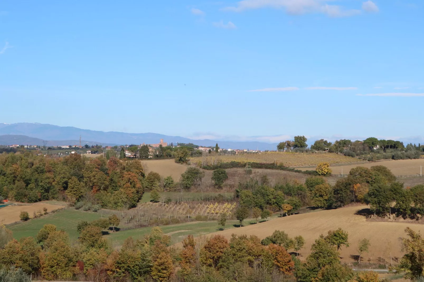 Portico del Tasso-View summer