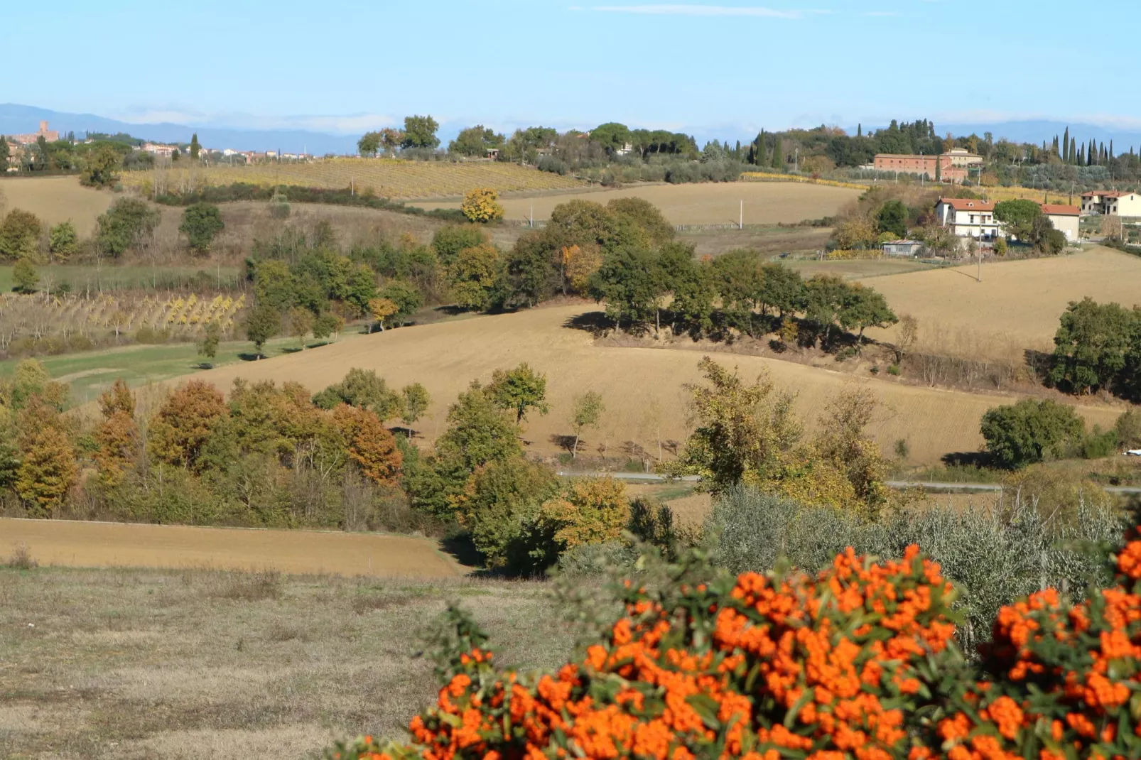 Portico del Tasso-Areas summer 1km