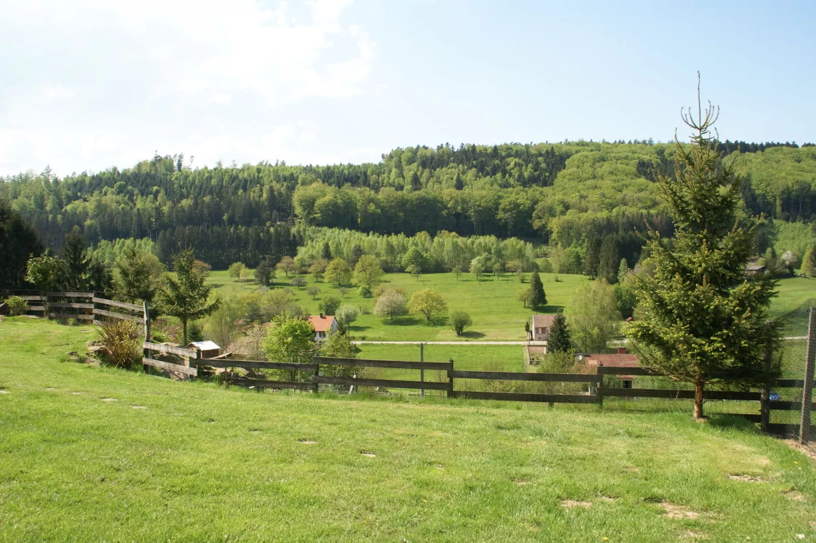Mon Repos-View summer