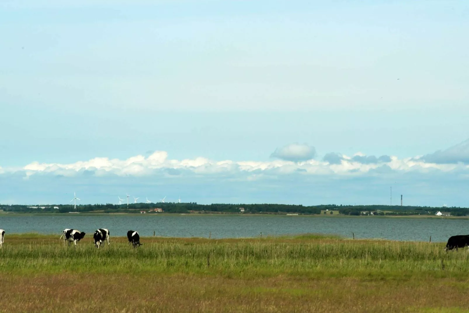 Maison de vacances pour 8 a Blåvand