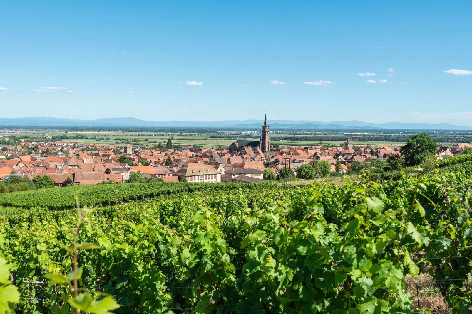 Grand Gite North-Areas summer 5km