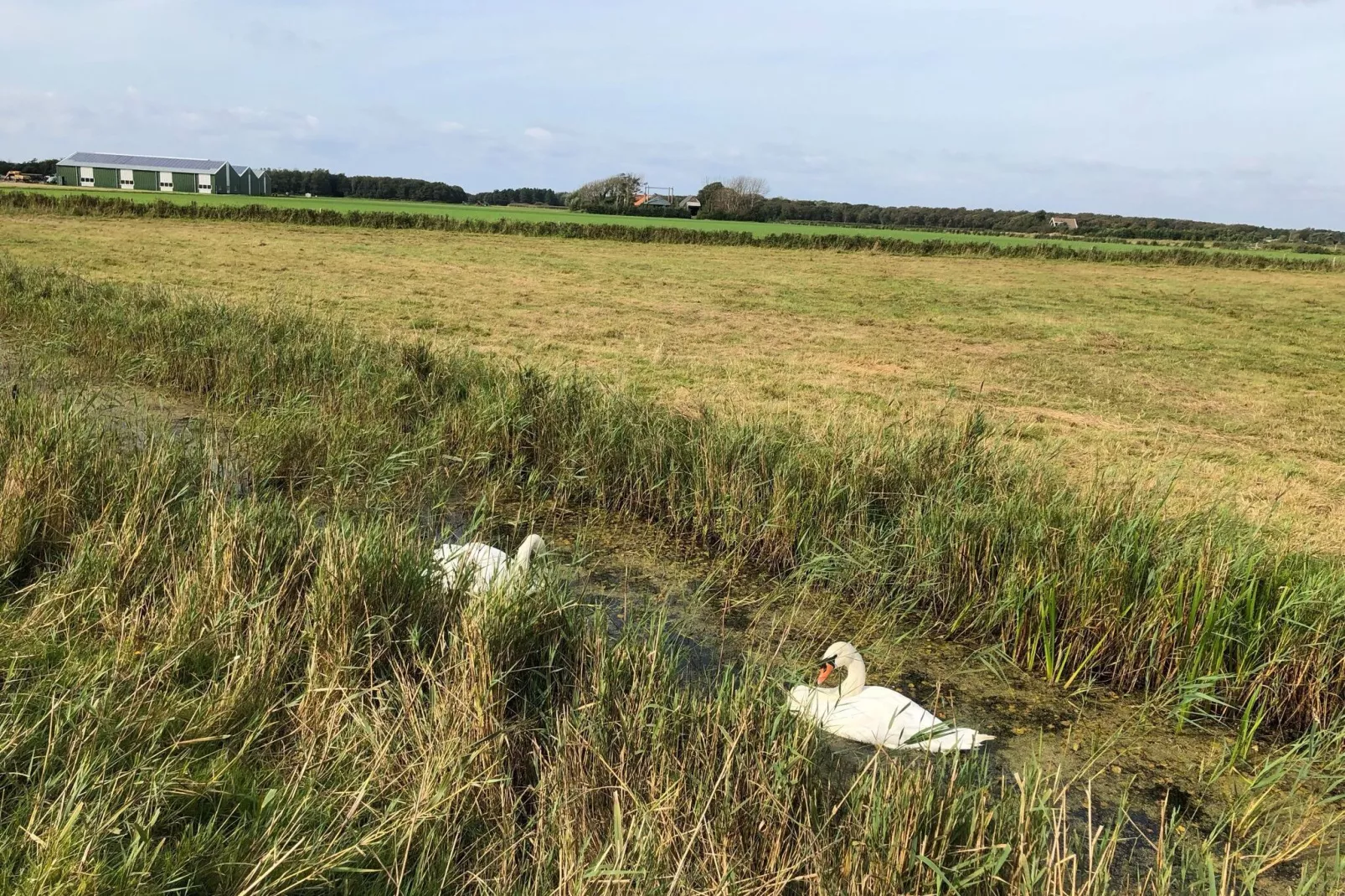 Uit en Thuis aan Zee-Areas summer 5km