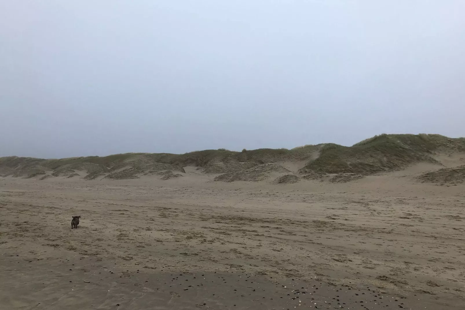 Uit en Thuis aan Zee-Areas summer 5km